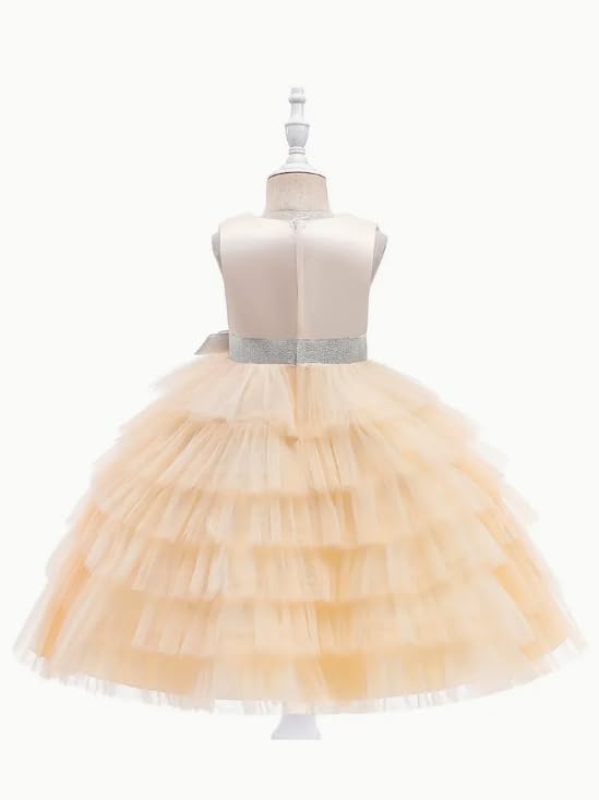 Girls Birthday Party Sleeveless Dress - G0059