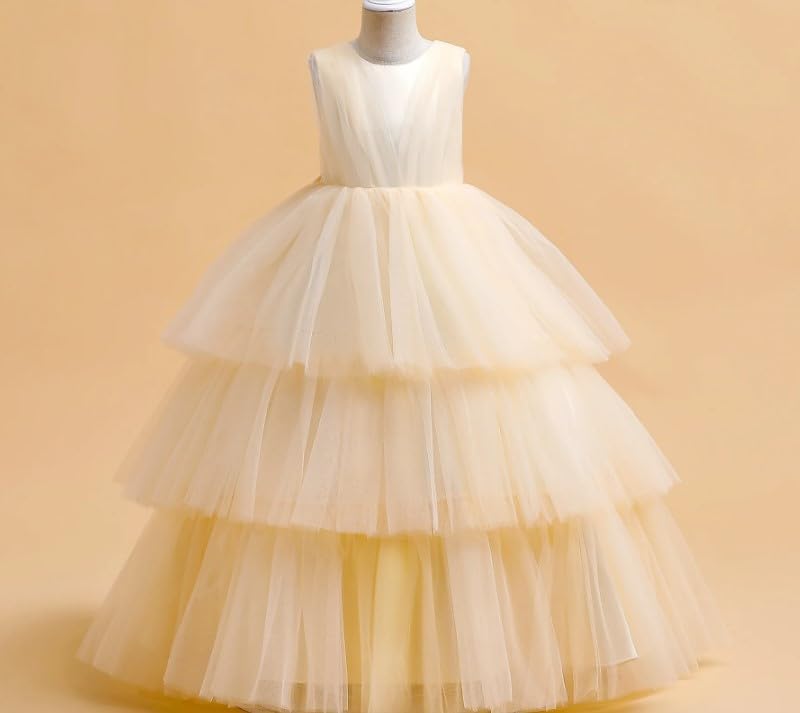 Elegant Long Tulle Dress with Layered Skirt for Special Occasions - G0027