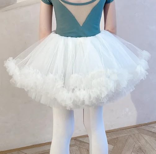 Girls Ballet Tutu Dress +Tulle Skirt Short Sleeves - G0058
