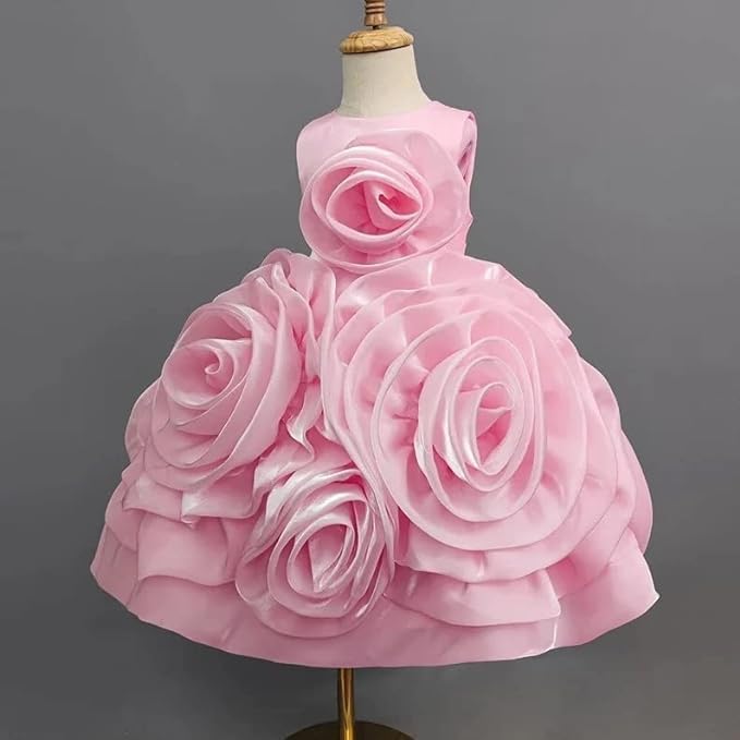 Rose and Lace Princess Dress - G0107
