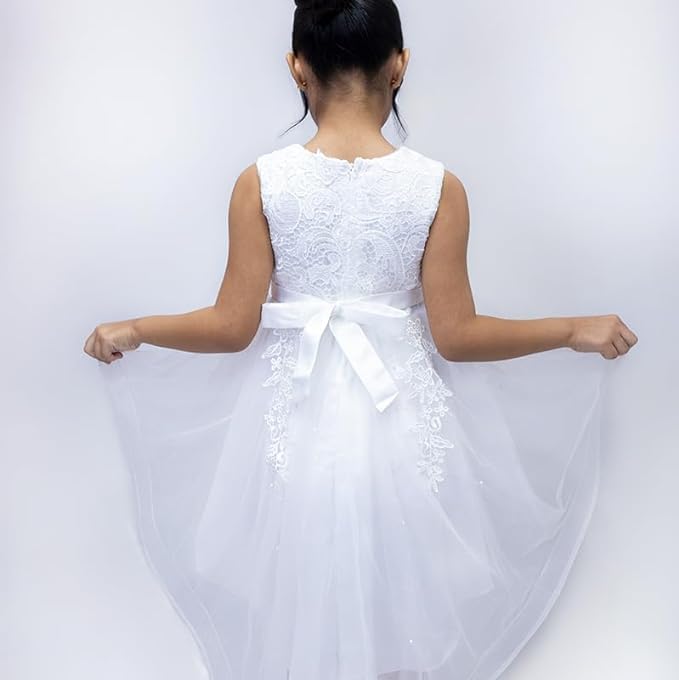 Princess Girl's Dress with Lace and Floral Embroidery - G0099