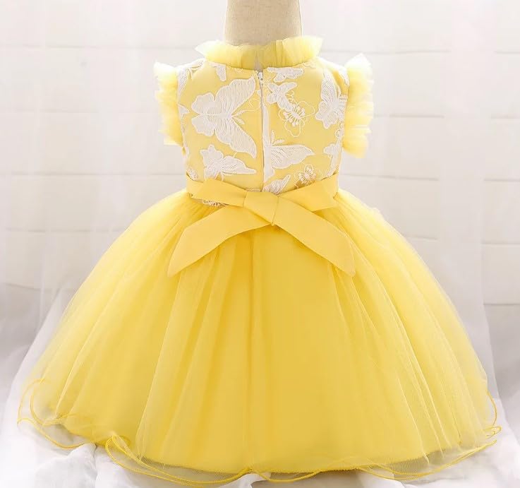 Butterfly Tutu Dress for Baby with embroidery