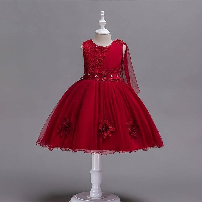 Tulle Dress Lace Embroidered Flowers for Girls - G0128