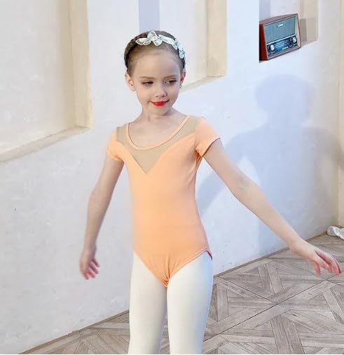 Girls Ballet Tutu Dress +Tulle Skirt Short Sleeves - G0058