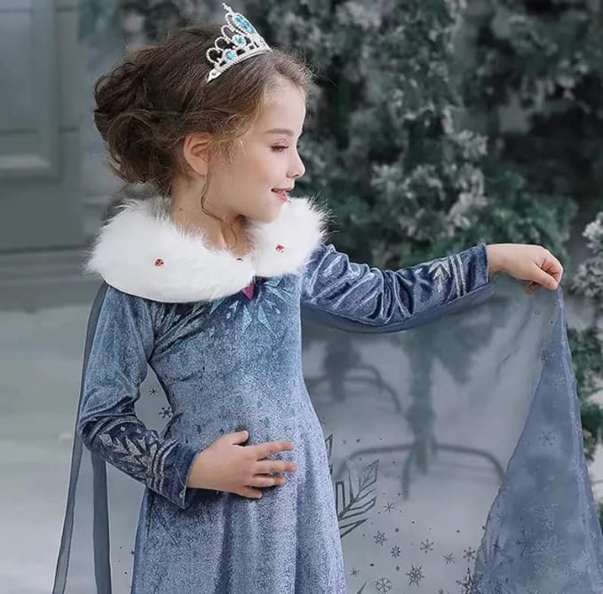 Princess Elsa Frozen Costume with Accessories for Girls - C0002