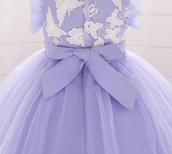 Butterfly Tutu Dress for Baby with embroidery