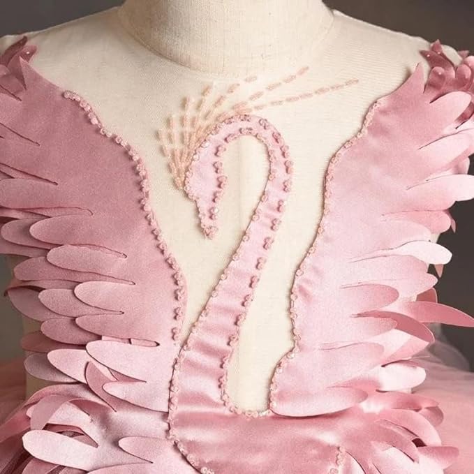 Girl's Swan Lake Dress with Tutu Puffed Skirt for Special Occasions - G0053