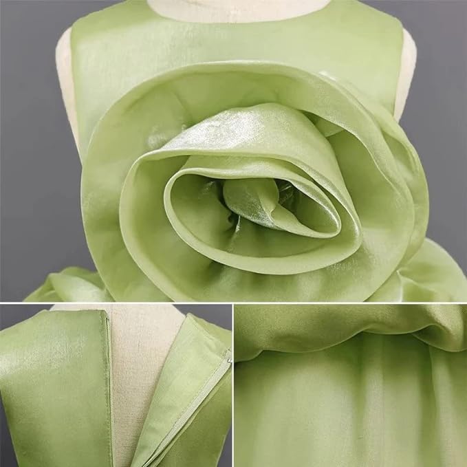 Rose and Lace Princess Dress - G0107