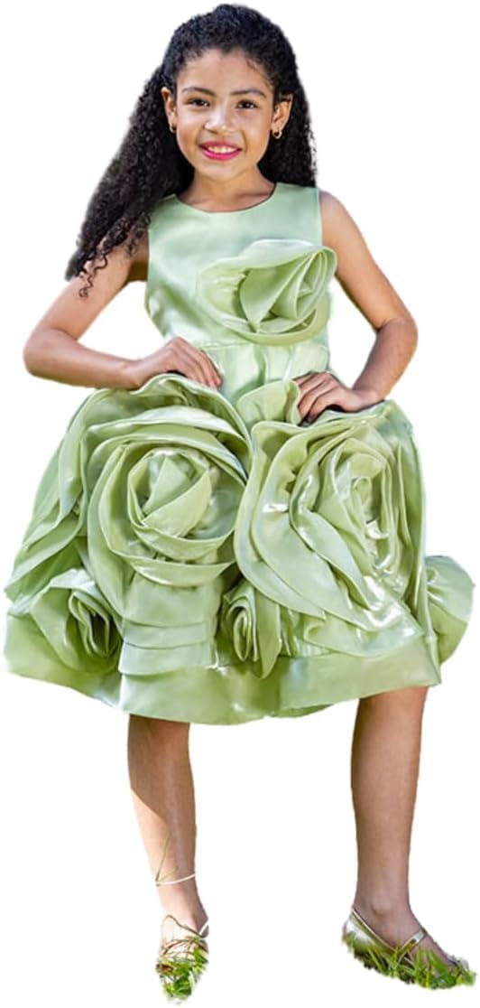 Rose and Lace Princess Dress - G0107