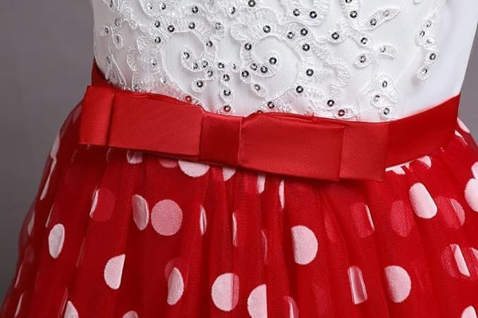 Long Tulle Dress with Polka dots and lace for Bridesmaids and Birthdays - G0090