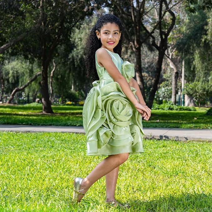 Rose and Lace Princess Dress - G0107