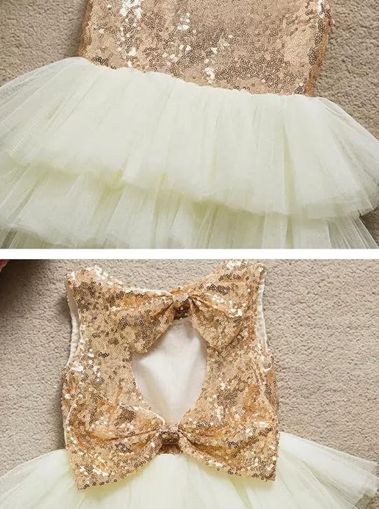 Girl's Sequined Dress with 3-Layered Tulle Skirt - G0052