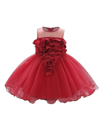 Birthday Tulle Dress for Baby with Flowers and Pearl appliqués - G0019