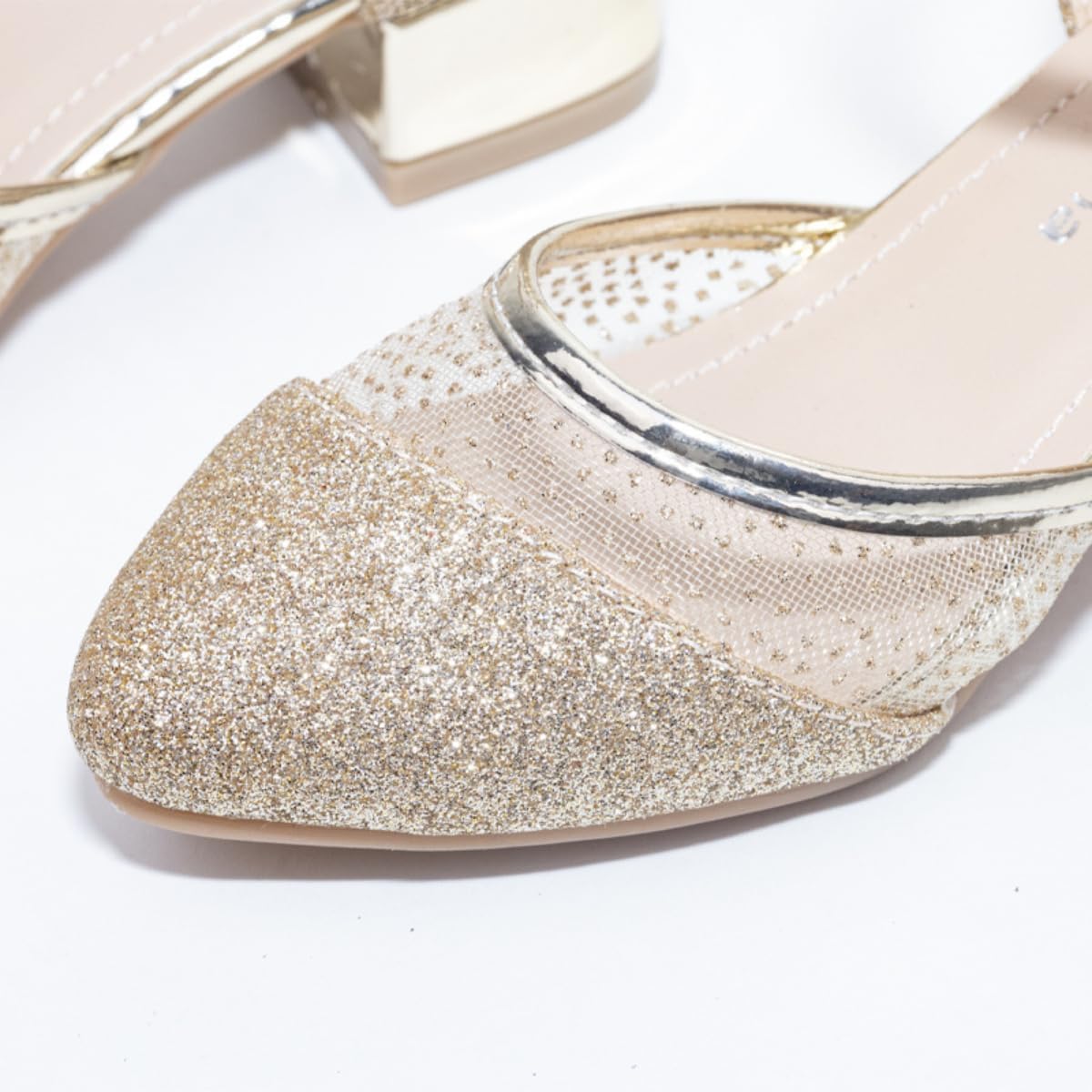 Girl's Mary Jane Shoes Low Heels and Glitter