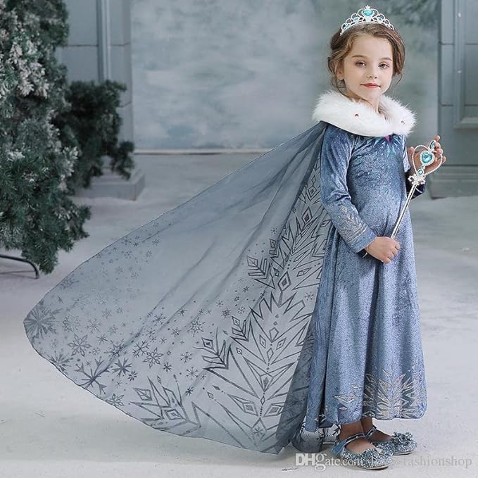 Princess Elsa Frozen Costume with Accessories for Girls - C0002