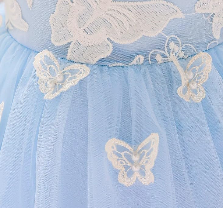 Butterfly Tutu Dress for Baby with embroidery