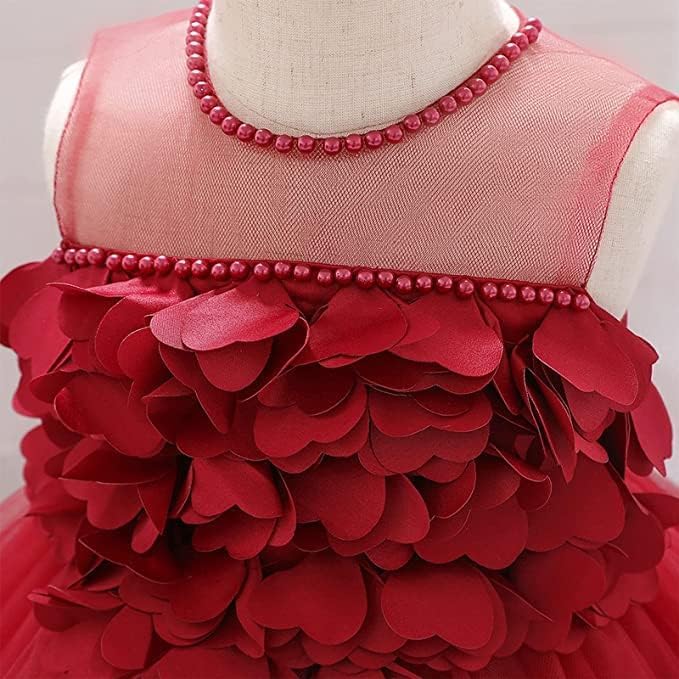 Birthday Tulle Dress for Baby with Flowers and Pearl appliqués - G0019