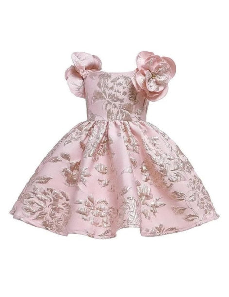 Pink Jacquard Dress with Rose Sleeves - G0095