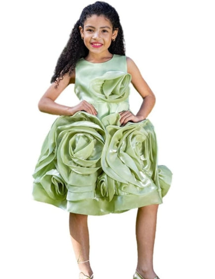 Rose and Lace Princess Dress - G0107