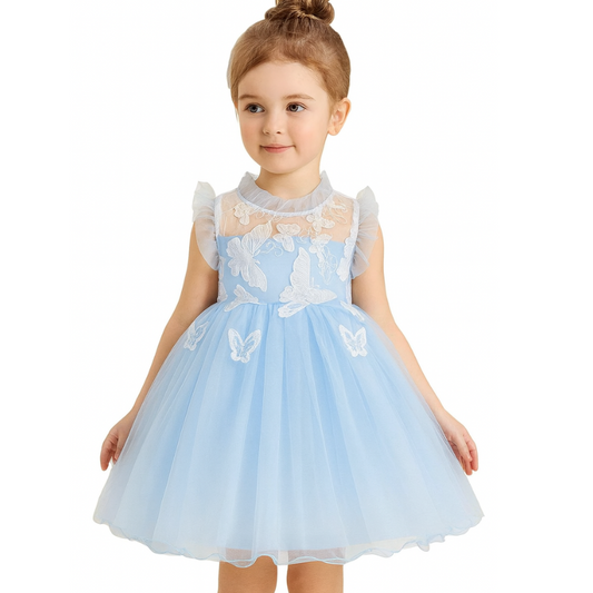 Butterfly Tutu Dress for Baby with embroidery