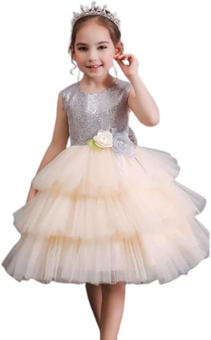 Sparkly Dress for Girls with Layered Tulle Skirt