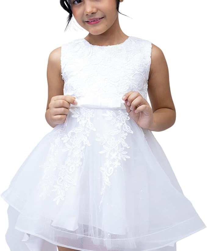 Princess Girl's Dress with Lace and Floral Embroidery