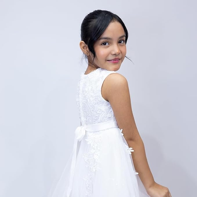 Princess Girl's Dress with Lace and Floral Embroidery