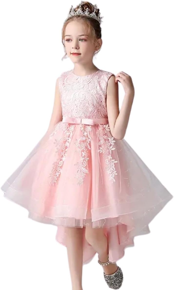 Princess Girl's Dress with Lace and Floral Embroidery