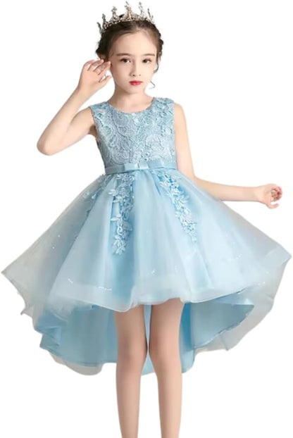 Princess Girl's Dress with Lace and Floral Embroidery