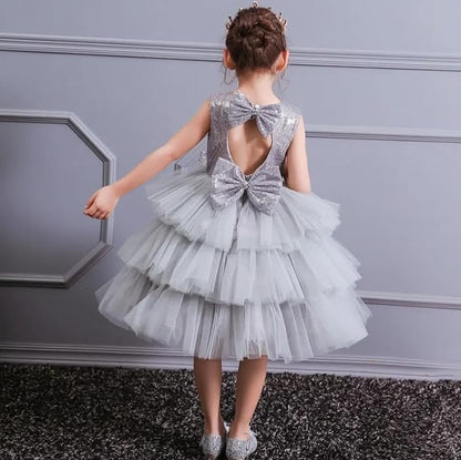 Sparkly Dress for Girls with Layered Tulle Skirt