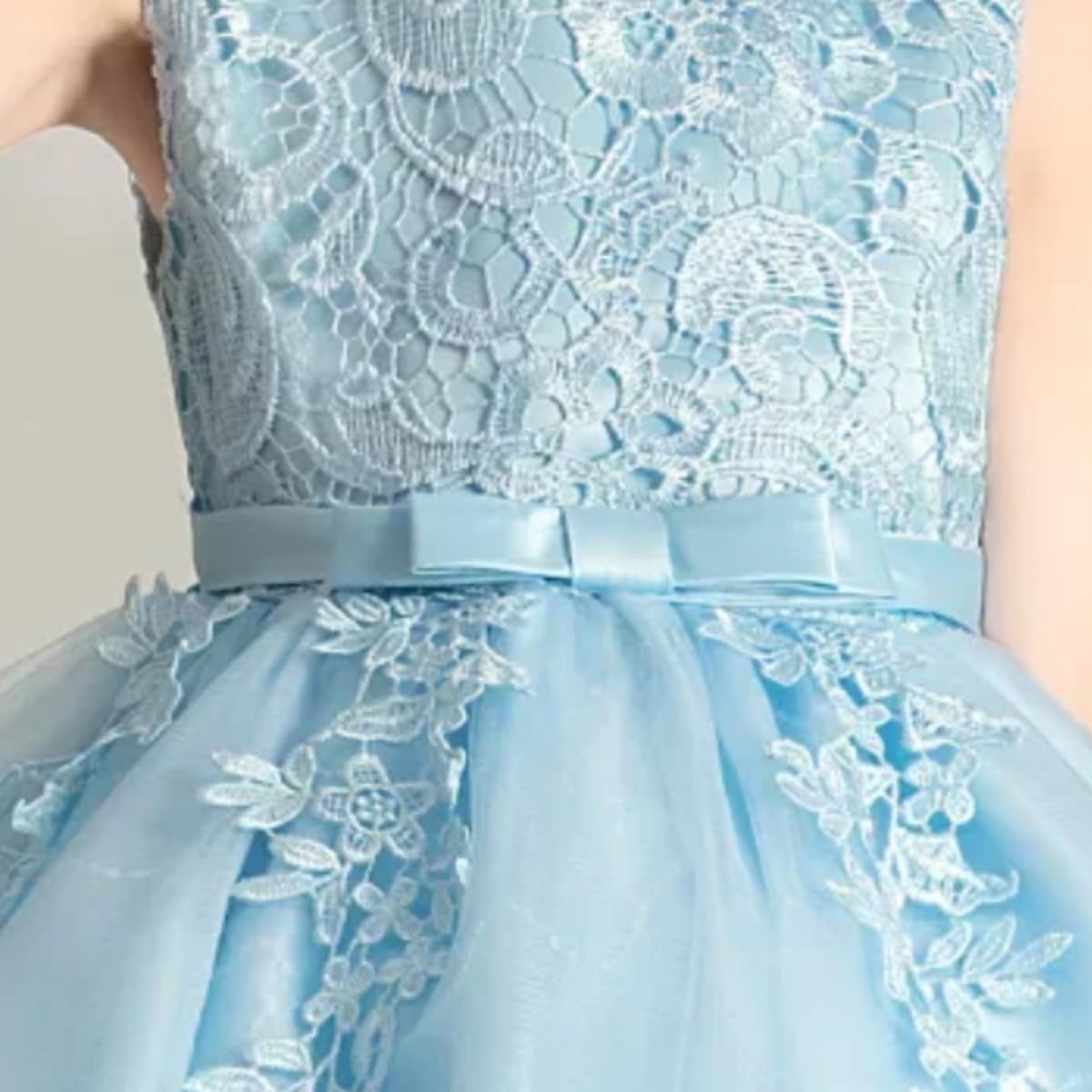 Princess Girl's Dress with Lace and Floral Embroidery