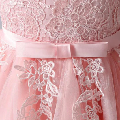 Princess Girl's Dress with Lace and Floral Embroidery