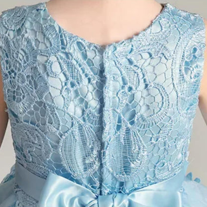 Princess Girl's Dress with Lace and Floral Embroidery