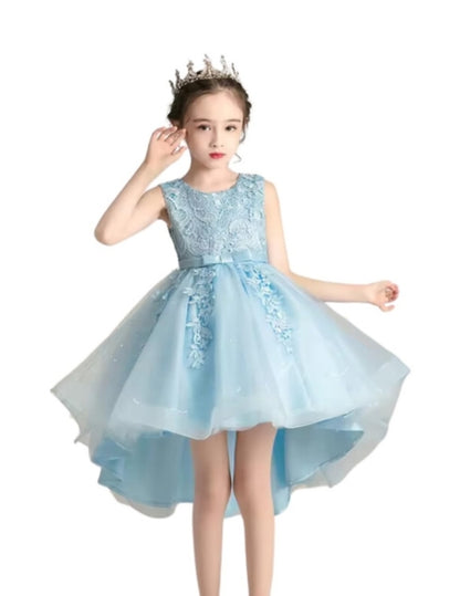 Princess Girl's Dress with Lace and Floral Embroidery