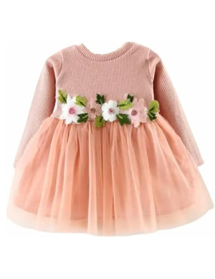 Long Sleeve Cotton Dress with Tulle Skirt and Embroidered Flowers