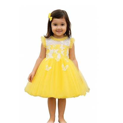 Butterfly Tutu Dress for Baby with embroidery