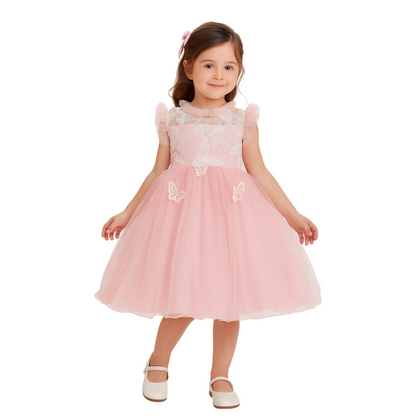 Butterfly Tutu Dress for Baby with embroidery